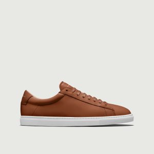 Low 1 | Lion