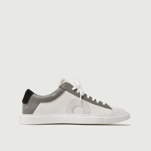 Low 1 | Stingray (Orthopedic)